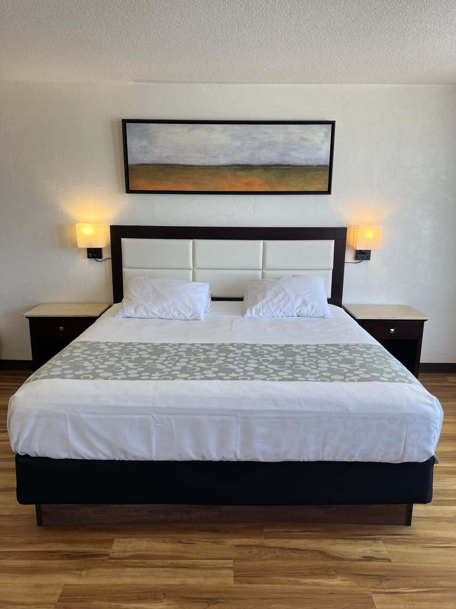 Flamingo Inn Beachfront - Παραλία Ντειτόνα Εξωτερικό φωτογραφία