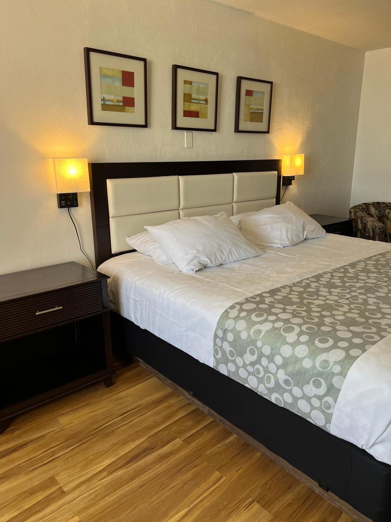 Flamingo Inn Beachfront - Παραλία Ντειτόνα Εξωτερικό φωτογραφία