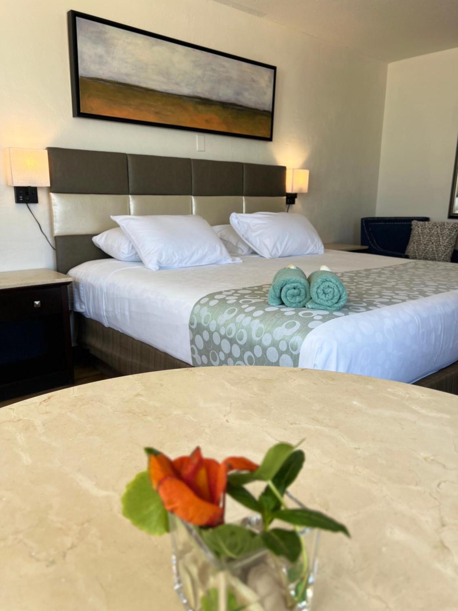 Flamingo Inn Beachfront - Παραλία Ντειτόνα Εξωτερικό φωτογραφία