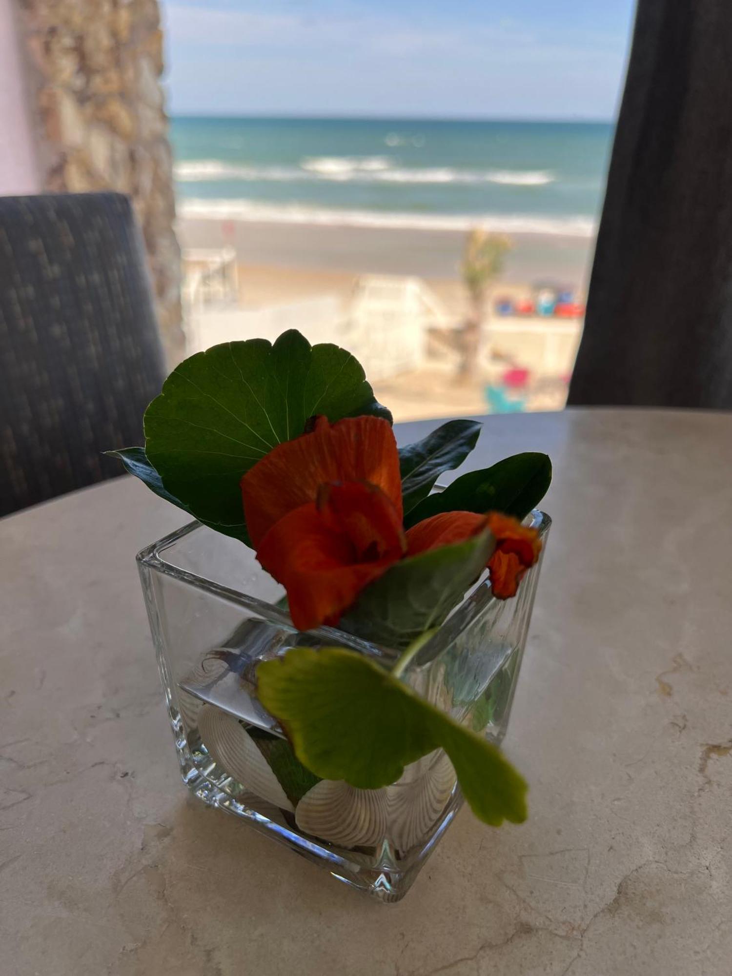 Flamingo Inn Beachfront - Παραλία Ντειτόνα Εξωτερικό φωτογραφία