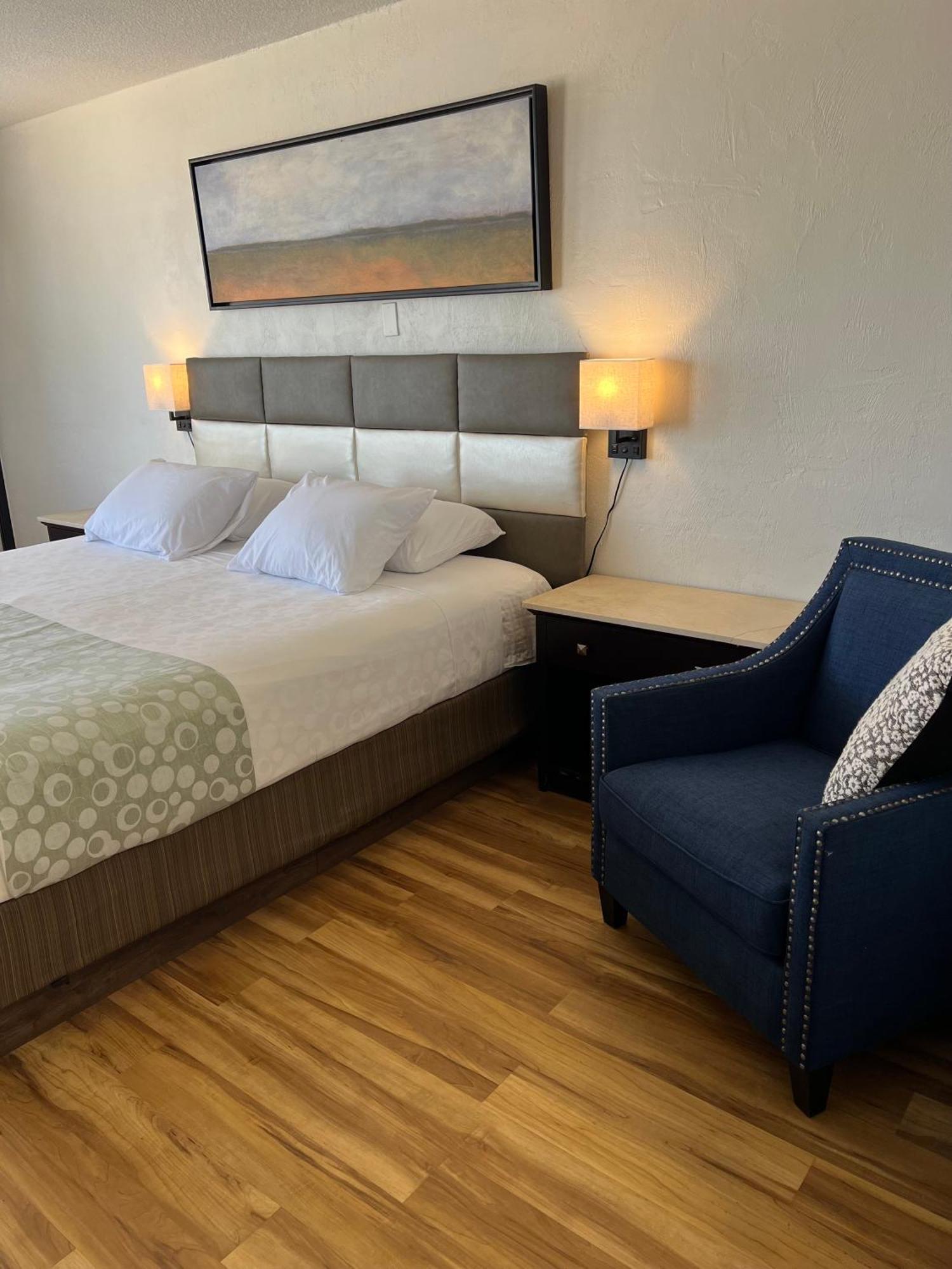 Flamingo Inn Beachfront - Παραλία Ντειτόνα Εξωτερικό φωτογραφία