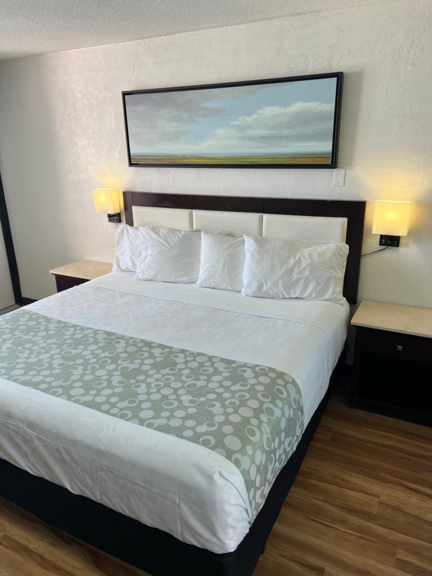 Flamingo Inn Beachfront - Παραλία Ντειτόνα Εξωτερικό φωτογραφία